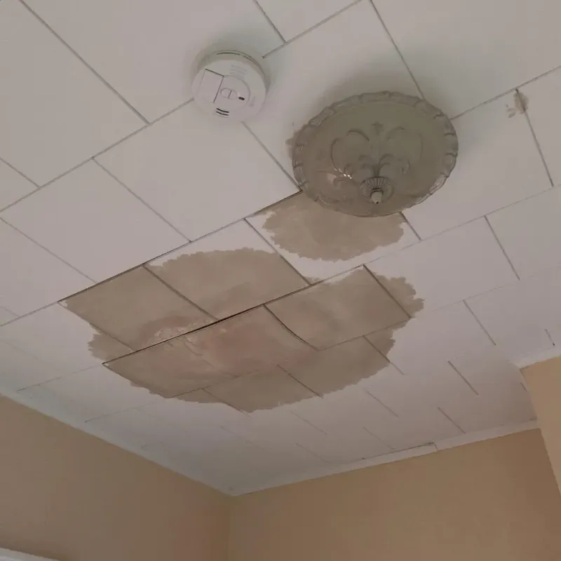 Ceiling Water Damage Repair in Fayette, IA
