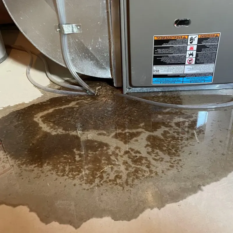 Pipe Burst and Leak Restoration in Fayette, IA