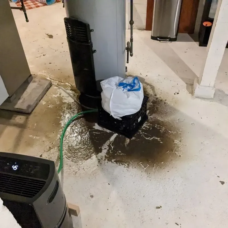 Sewage Backup Cleanup Service in Fayette, IA